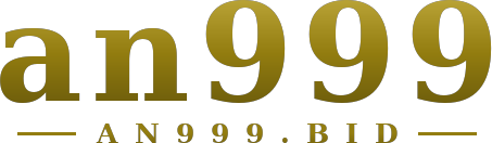 an999 logo